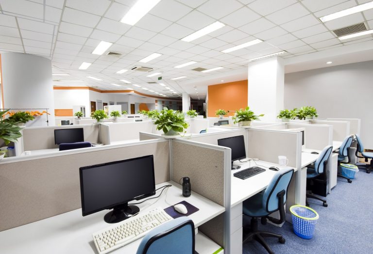Keeping Plants in the Office with Business Janitorial Services